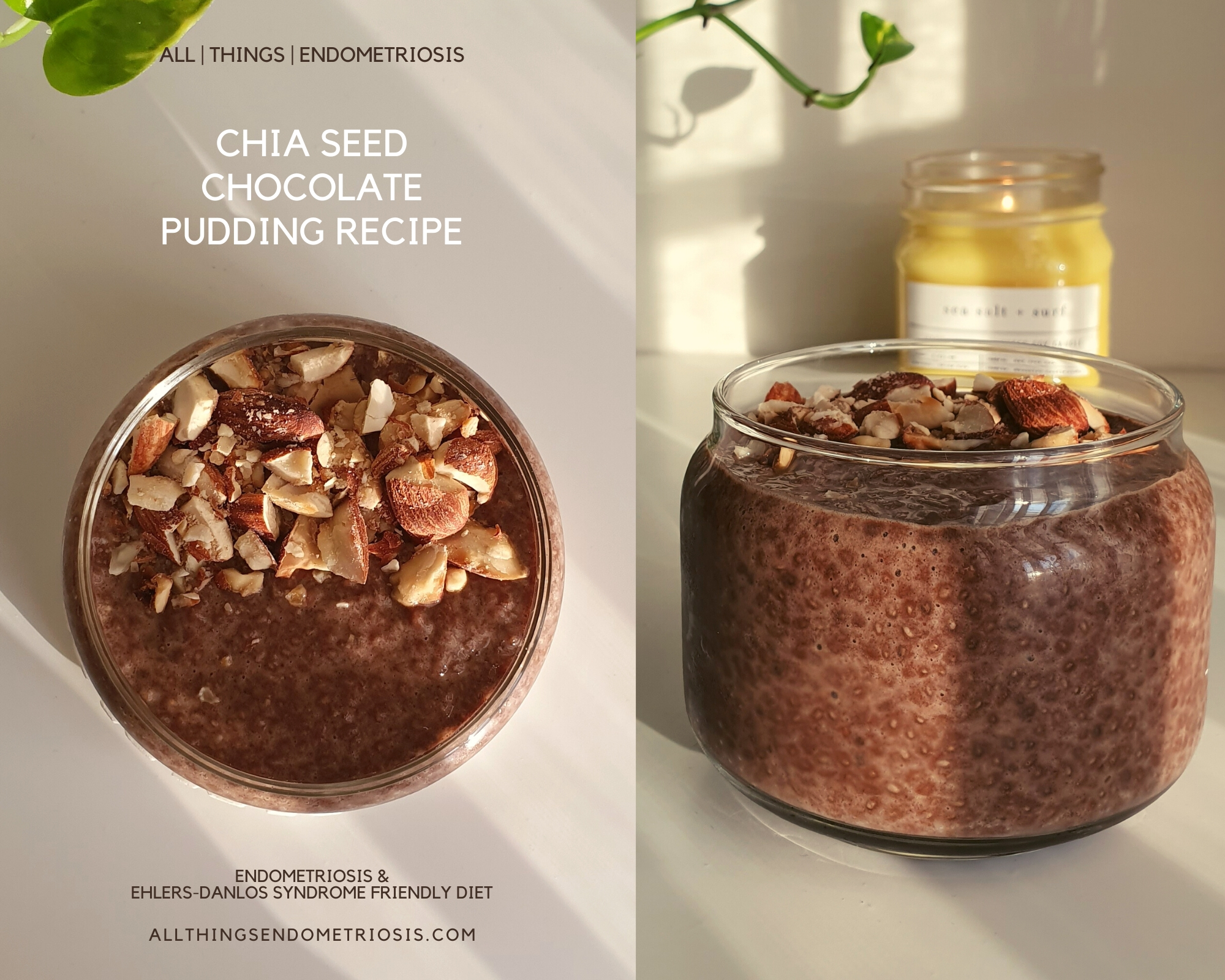 My Endometriosis Diet Friendly - Chia Seed Chocolate Pudding Recipe